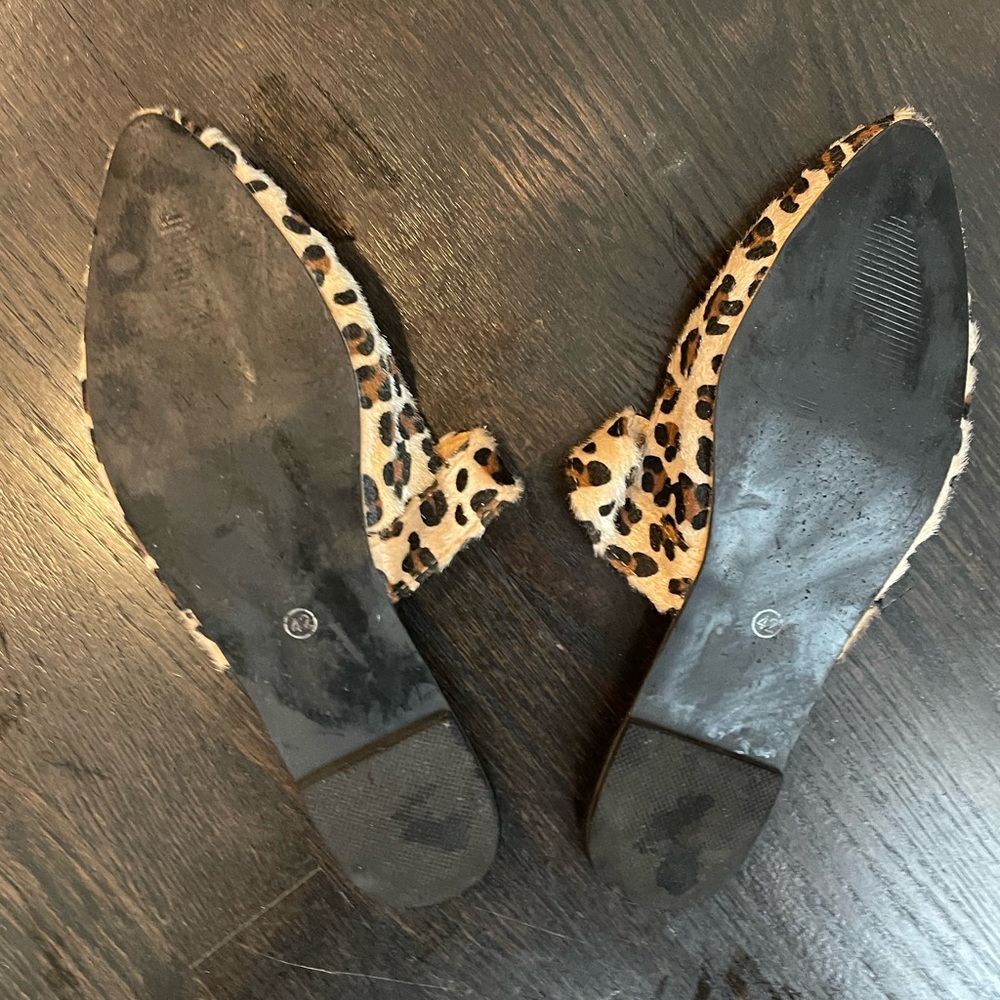 Leopard Flats - Picture 12 of 15